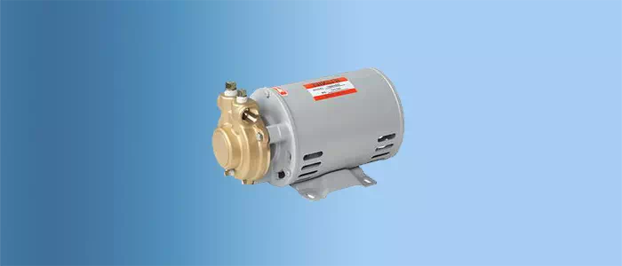 Nikuni Regenerative Turbine Pump P-0010-DKH