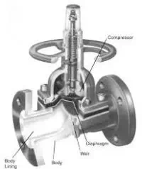article lined valve or chemical valve