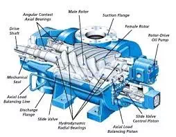 article screw pump