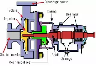 Basic Elements & Categories of Shaft Seal