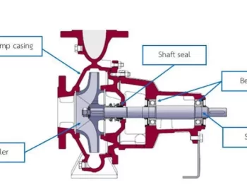 Pump’s power loss through seal, packing and bearing