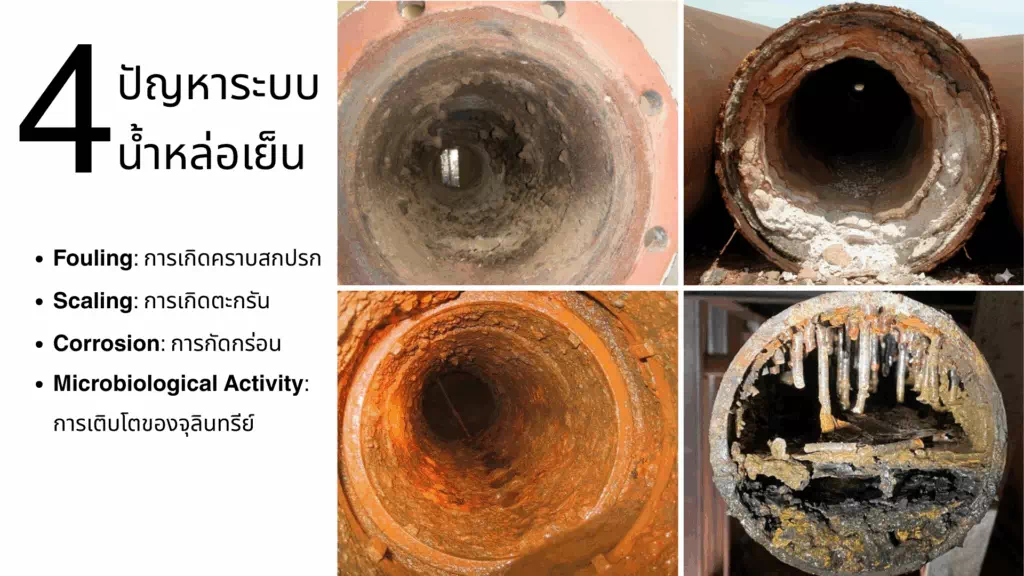 Corrosion Allowance (CA)